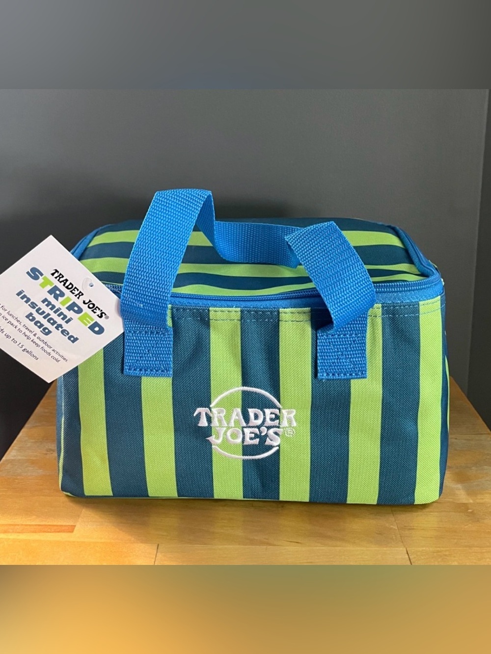 Trader Joe's Striped Mini Insulated Tote - Blue & Green